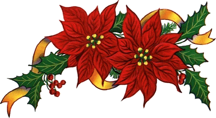 Celebrazioni Eucaristiche in vista del Natale